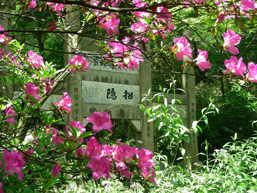 ɽž黨ڼĻ