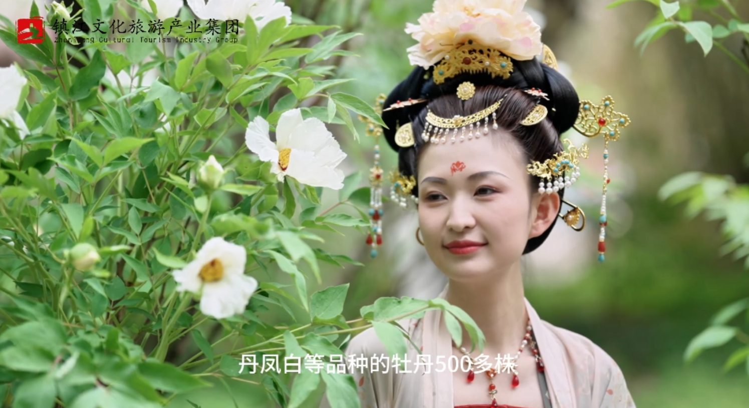 ʮ������ح����ɽ��Է�����˰���ĵ���ľ����绪