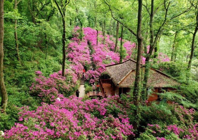 �������� �����Ͷž�|2024����ɽ�ž���԰�ῪĻ����