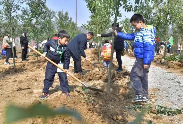 ��ֲ���� �������|2024����ɽֲ���ڻ��ʵ